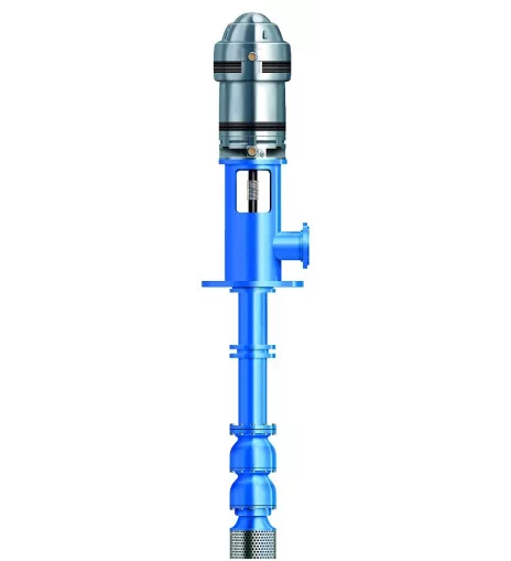 Goulds Water Technology VIT-DITM 6DHLC